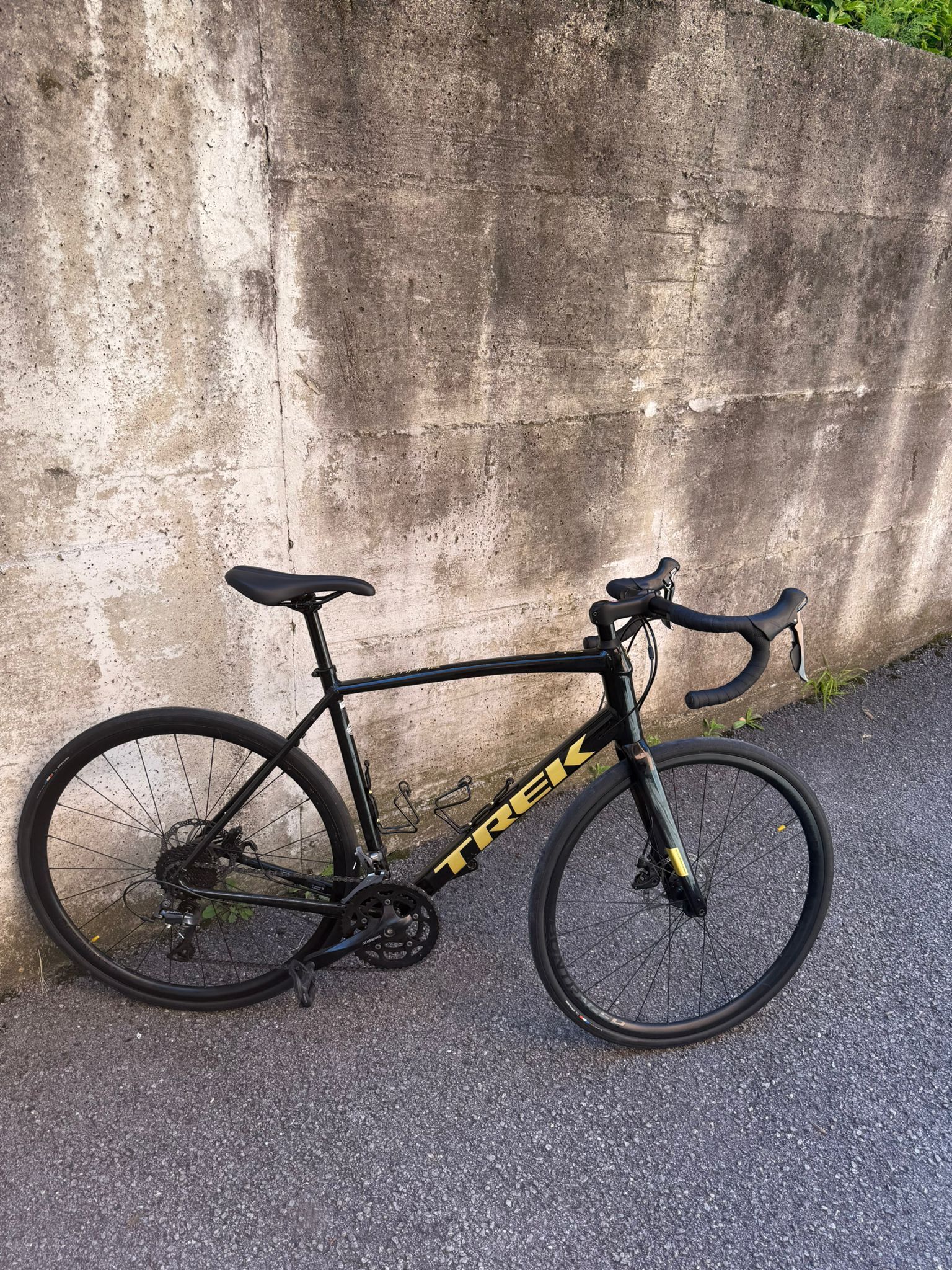 Trek Domane AL 2 Disc 2021 2021