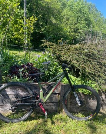 Used Bergamont Straitline 7 2020 2020 Mountainbike, Verde — image 7 of 7