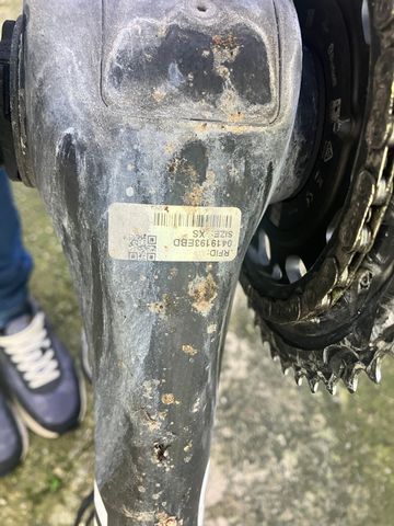 Brugt Cipollini NK1K 2017 Road & Gravel