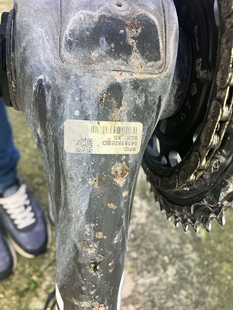 Gebrauchtes Cipollini NK1K 2017 Road & Gravel