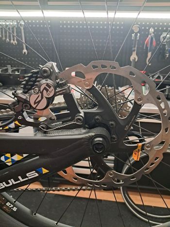 Used BULLS Wild Core Team 2019 Mountainbike, White — image 17 of 35