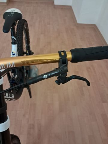 BULLS Wild Core Team 2019 Mountainbike d'occasion — image 5 sur 35