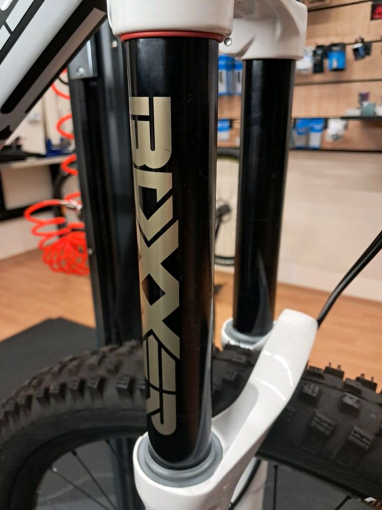 Used BULLS Wild Core Team 2019 Mountainbike, White — image 29 of 35