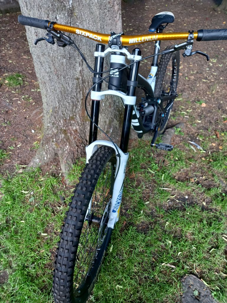 Used BULLS Wild Core Team 2019 Mountainbike, White — image 4 of 6