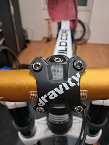 BULLS Wild Core Team 2019 Mountainbike d'occasion — image 32 sur 35