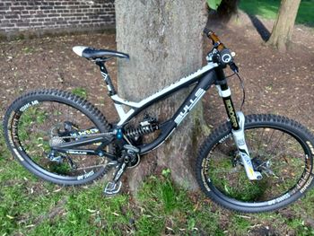 Used BULLS Wild Core Team 2019 MTB