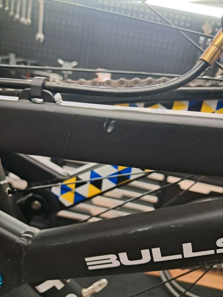 Used BULLS Wild Core Team 2019 Mountainbike, White — image 34 of 35