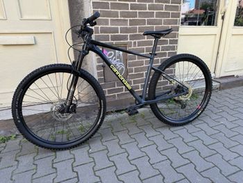 Used Cannondale Trail SL 2 2023 2023 Mountainbike, Black, 29 — image 5 of 10