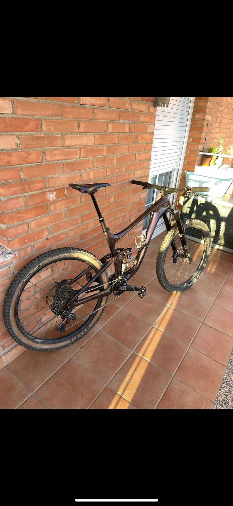Brugt Giant Reign Advanced, Pro 29 1 2021 2021 Mountainbike — billede 1 af 5