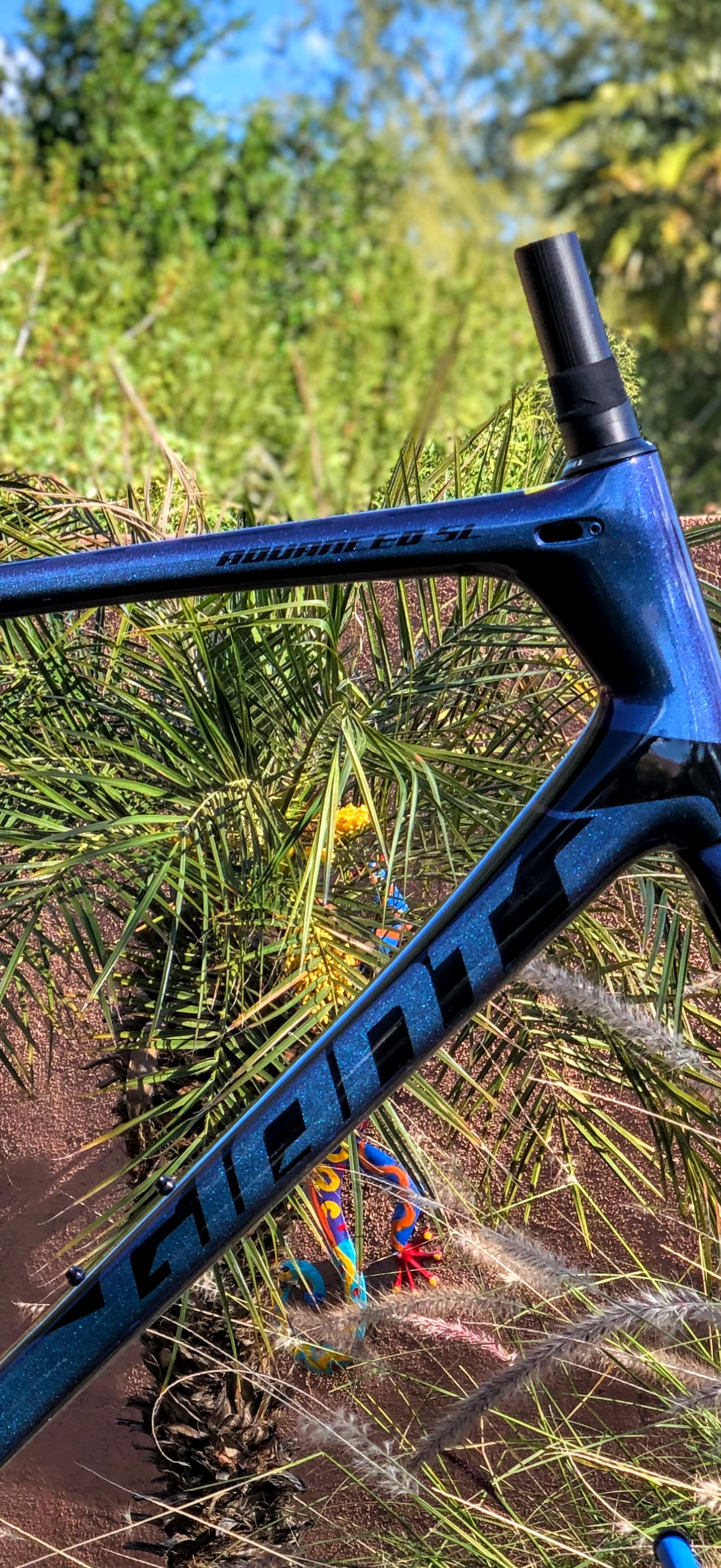 Giant Tcr Advanced Sl 2019 Giant TCR Advanced SL Used In L Buycycle