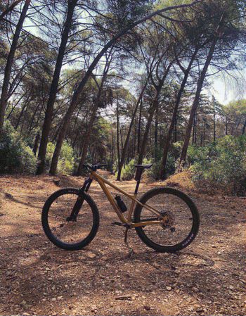 Brugt Orbea LAUFEY H-LTD 2023 2023 Mountainbike — billede 2 af 4