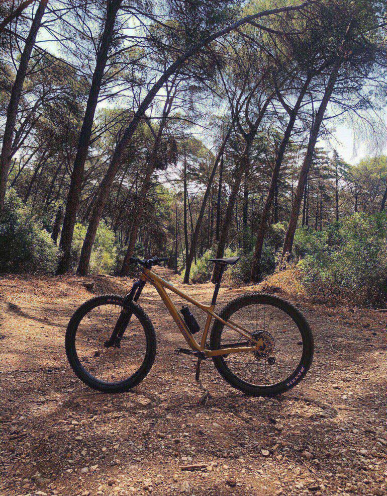 Brugt Orbea LAUFEY H-LTD 2023 2023 Mountainbike — billede 2 af 4