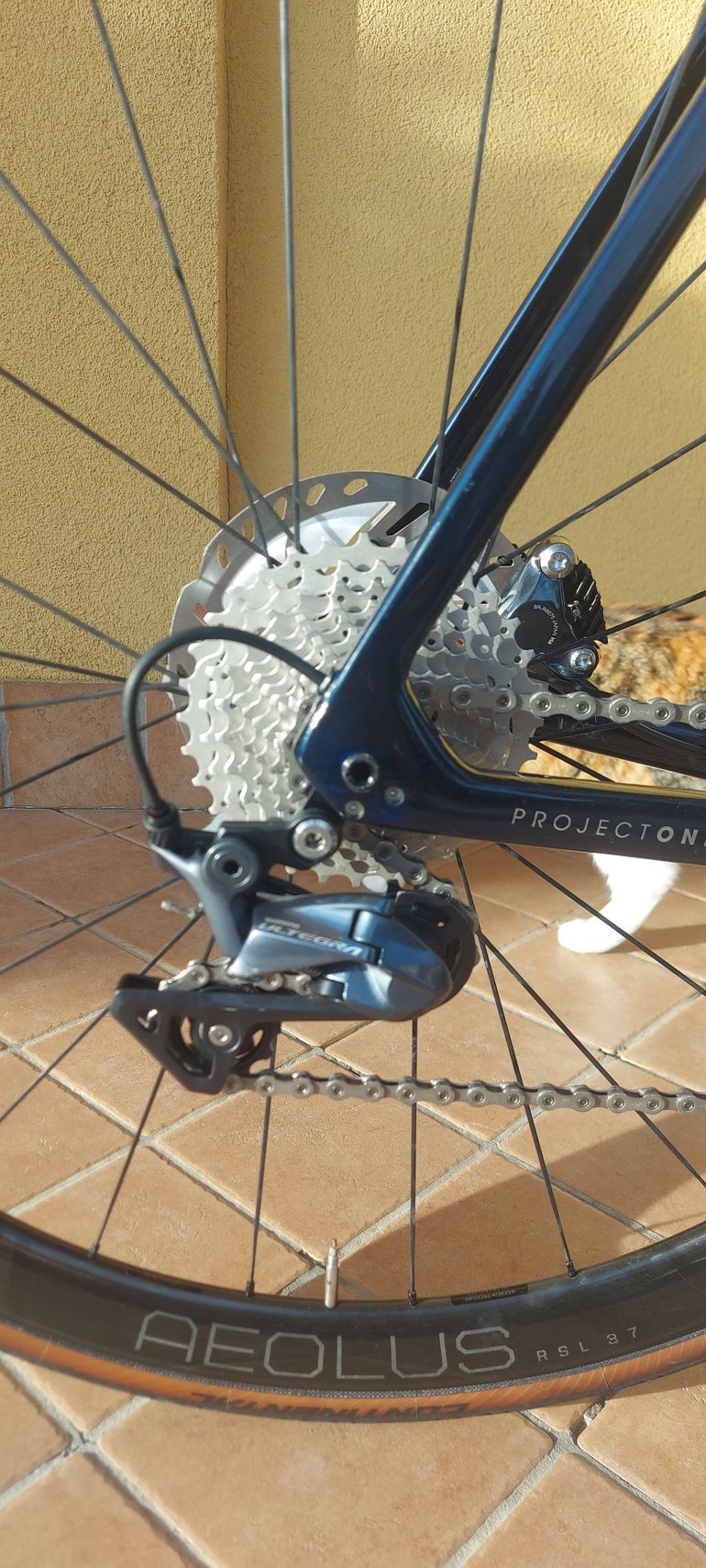 Brugt Trek Émonda SLR 6 2021 2021 Road & Gravel — billede 17 af 18