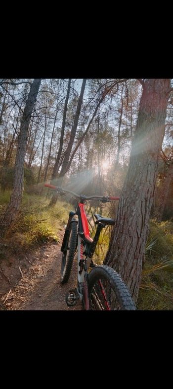 Brugt Specialized Enduro SRAM X1 2015 Mountainbike — billede 4 af 6