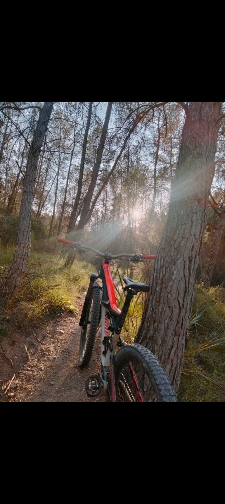 Brugt Specialized Enduro SRAM X1 2015 Mountainbike — billede 4 af 6