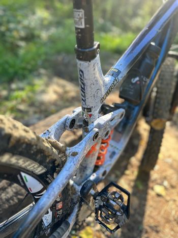 Gebrauchtes Giant Reign Advanced 2024 Mountainbike, Blau — Bild 2 von 9