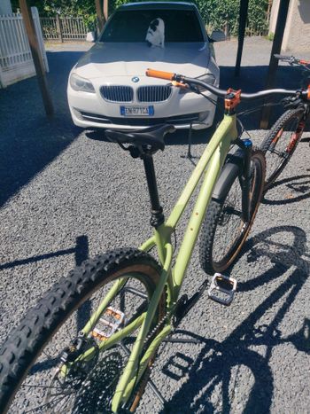 Used Dartmoor Dartmoor Primal 29 2023 2023 Mountainbike, Grün — image 5 of 12