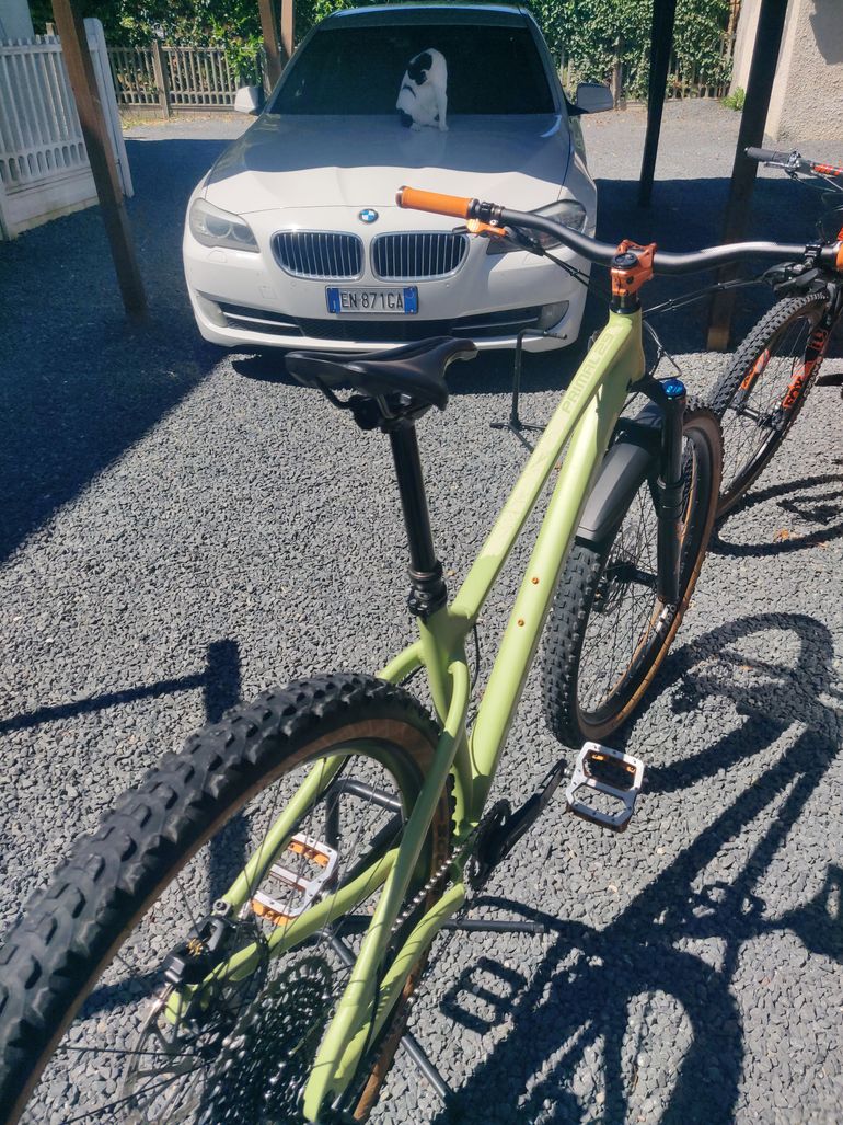 Used Dartmoor Dartmoor Primal 29 2023 2023 Mountainbike, Grün — image 5 of 12