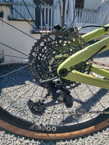 Used Dartmoor Dartmoor Primal 29 2023 2023 Mountainbike, Grün — image 3 of 12
