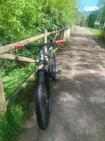 Used CUBE ANALOG 2023 2023 Mountainbike, Black, 27.5, 29 — image 4 of 4