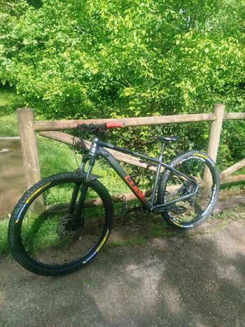 Used CUBE ANALOG 2023 2023 Mountainbike, Black, 27.5, 29 — image 1 of 4