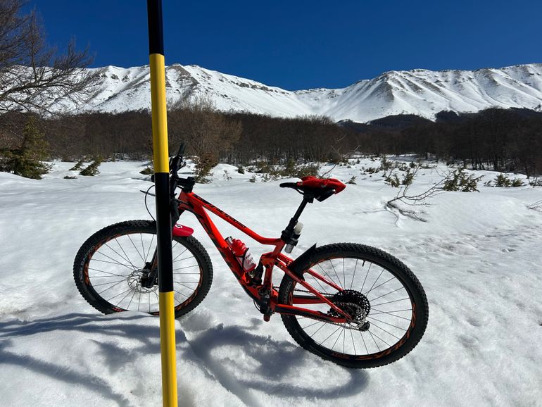 Scott Spark RC 900 Team 2019 2019