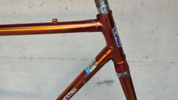 Used Wilier Triestina Ramata Frameset 1978 Road & Gravel, Black — image 4 of 24