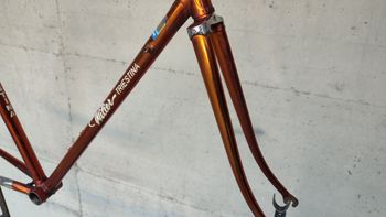 Used Wilier Triestina Ramata Frameset 1978 Road & Gravel, Black — image 10 of 24