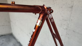Used Wilier Triestina Ramata Frameset 1978 Road & Gravel, Black — image 19 of 24