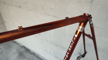 Used Wilier Triestina Ramata Frameset 1978 Road & Gravel, Black — image 17 of 24