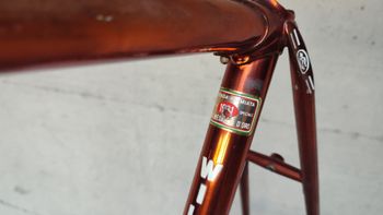 Used Wilier Triestina Ramata Frameset 1978 Road & Gravel, Black — image 18 of 24