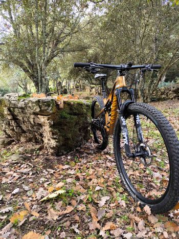 Canyon Lux Trail Cf8 2024 Mountainbike usato, Arancione — immagine 2 di 7