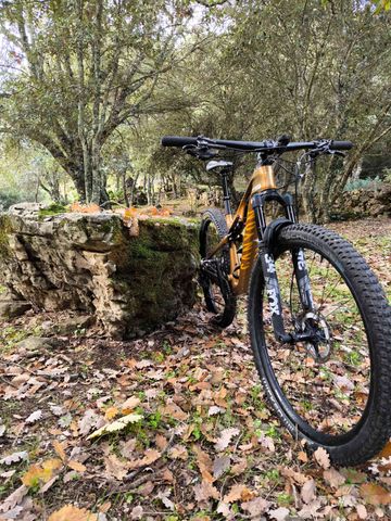 Used Canyon Lux Trail Cf8 2024 Mountainbike, Orange — image 2 of 7