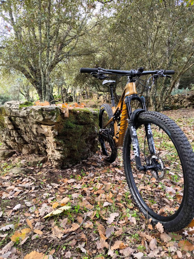 Canyon Lux Trail Cf8 2024 Mountainbike usato, Arancione — immagine 2 di 7
