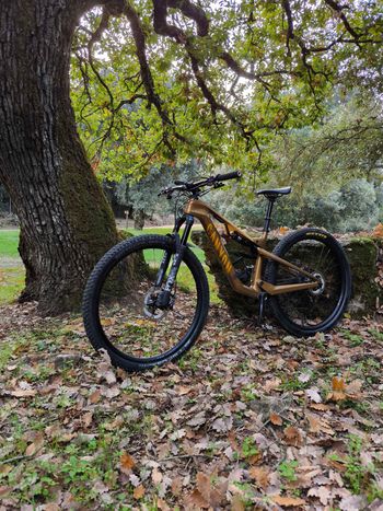 Canyon Lux Trail Cf8 2024 Mountainbike usato, Arancione — immagine 3 di 7