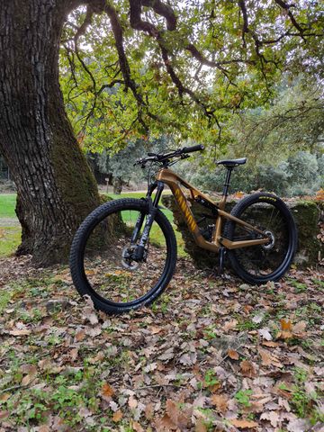 Used Canyon Lux Trail Cf8 2024 Mountainbike, Orange — image 3 of 7