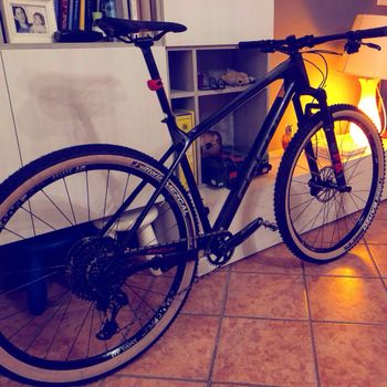 Focus RAVEN 8.8 2019 2019 Mountainbike d'occasion — image 6 sur 11