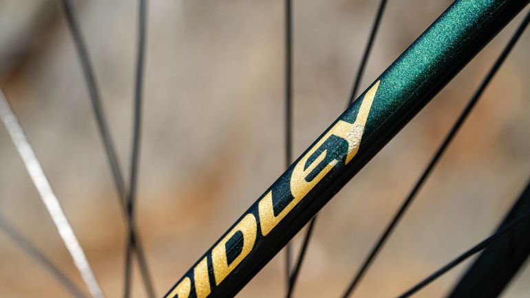 Used Ridley Falcn RS Shimano Dura-Ace DI2 2x12sp 2024 Custom 2024 Road & Gravel, Green — image 16 of 21