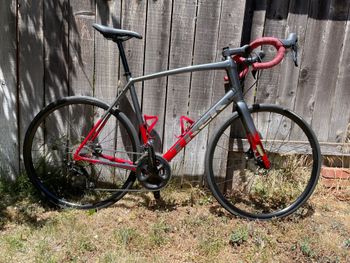 Used Trek Domane AL 5 Disc 2022 2022 Road & Gravel