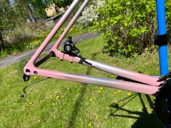 Used Specialized Aethos Frameset 2025 2025 Road & Gravel, Weiß — image 3 of 13