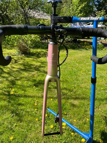 Used Specialized Aethos Frameset 2025 2025 Road & Gravel, Weiß — image 6 of 13