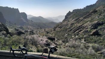 Tweedehands Scott CR1 10 2017 2017 Road & Gravel — afbeelding 16 van 16