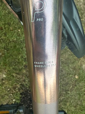 Used CUBE ACCESS WS PRO 2023 2023 Mountainbike, Purple, 27.5, 29 — image 2 of 6