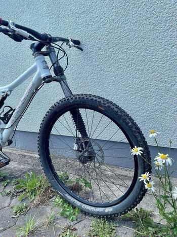 Used Cannondale Rush 2010 Mountainbike, White — image 3 of 3