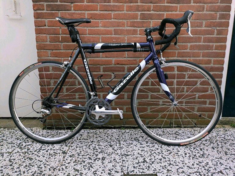 Used Other Brands Gazelle Modano SPR 2005 Road & Gravel, Purple — image 1 of 12