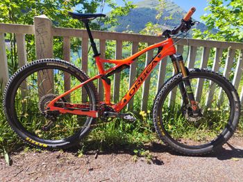 Brugt Orbea OCCAM TR M-LTD 2018 2019 Mountainbike — billede 9 af 9