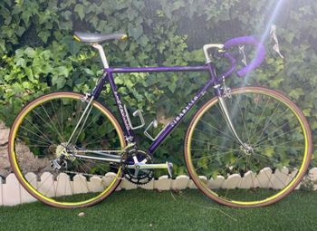 Pinarello, Gavia