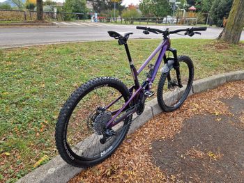 Used SCOR 4060 LT XX1 Eagle AXS 2022 Mountainbike, Violett — image 3 of 7