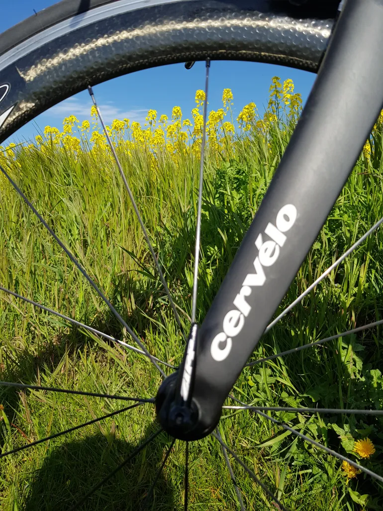 Used Cervélo S5 2017 Road & Gravel, Nero — image 3 of 8