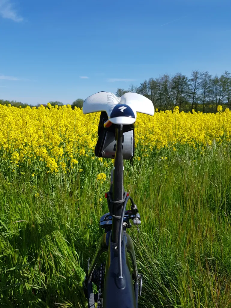 Used Cervélo S5 2017 Road & Gravel, Nero — image 2 of 8